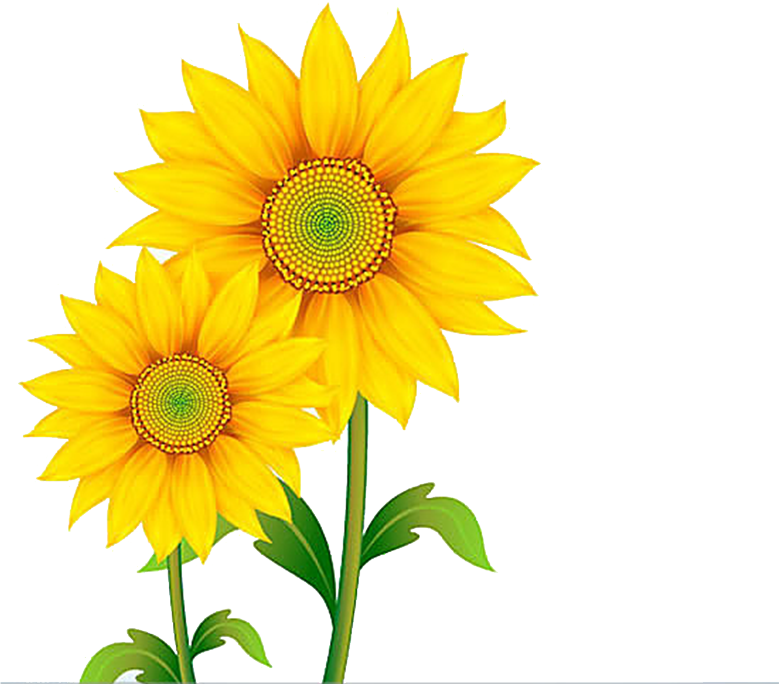 Bright Sunflower Clipart PNG
