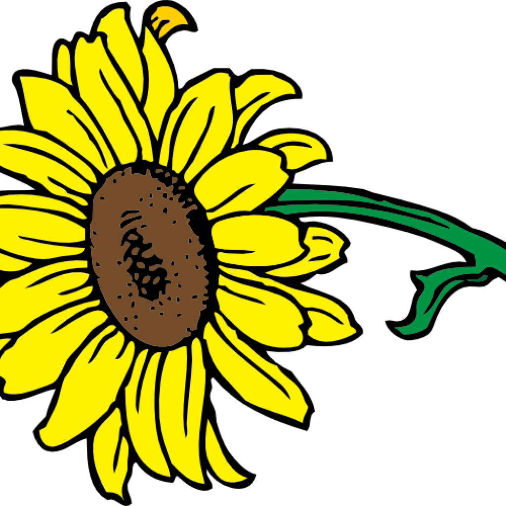 Bright Yellow Sunflower Clipart PNG