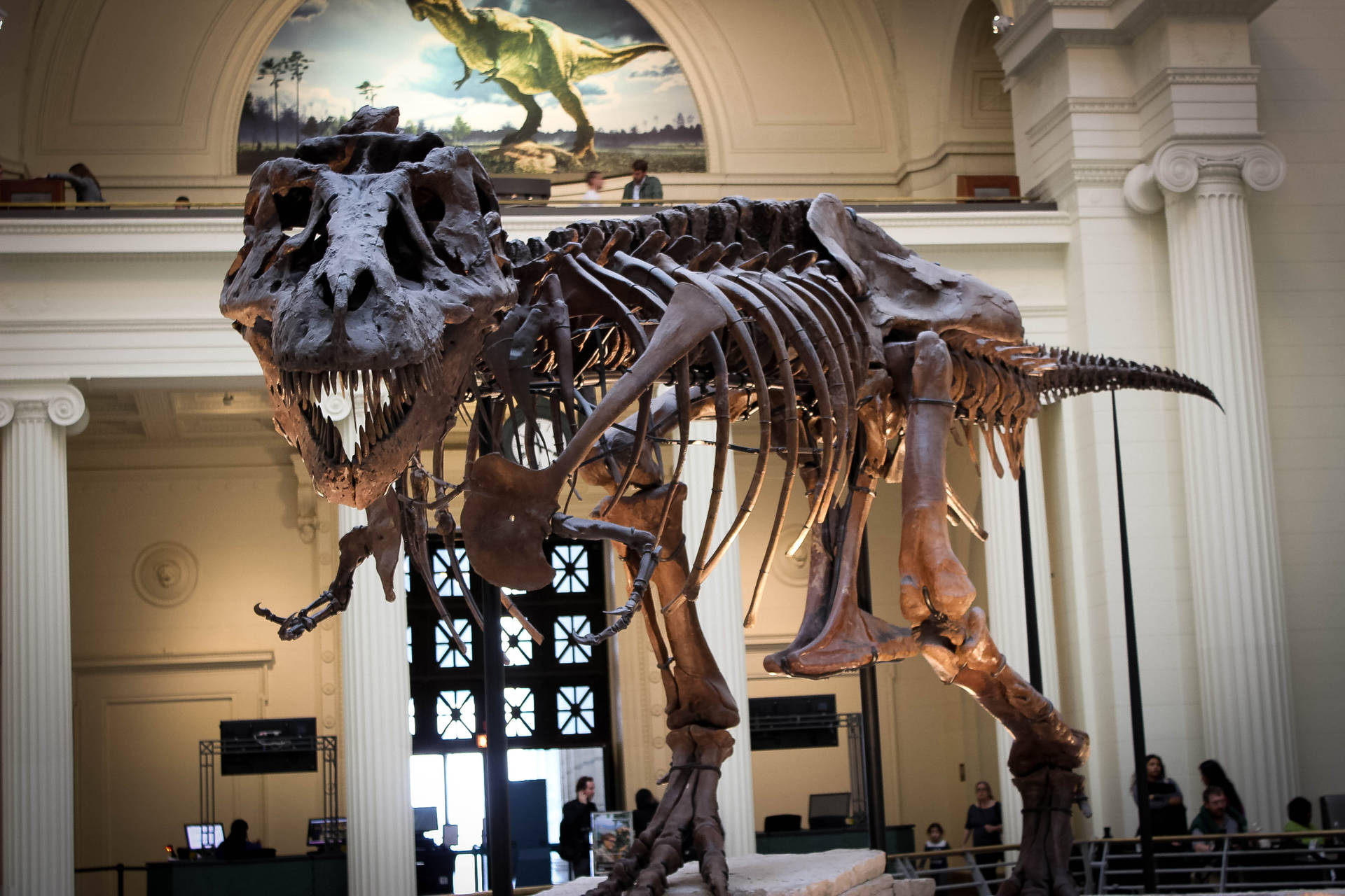 Bristol Art Gallery Dinosaur Remains