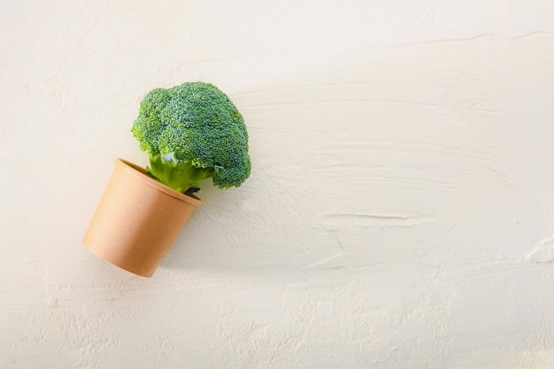 Broccoli Flower On Vase