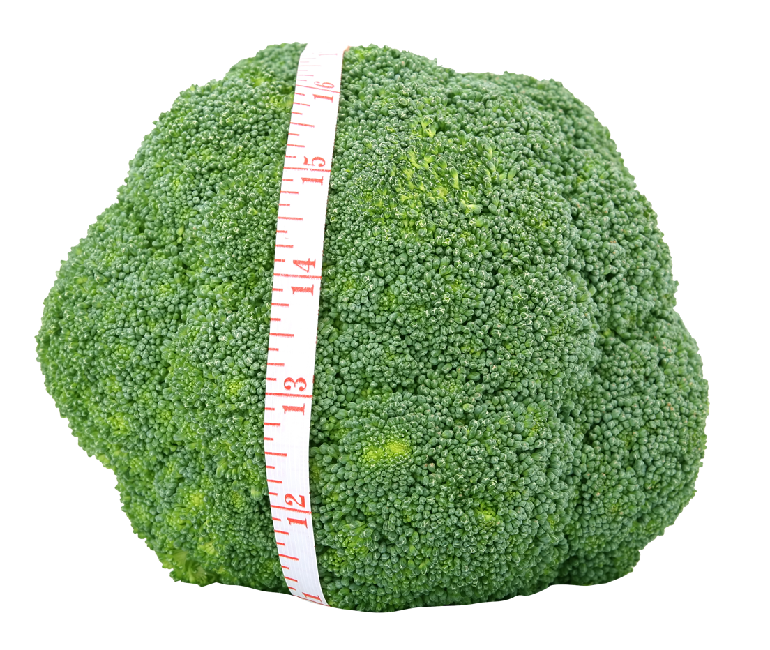 Broccoli Measuring Tape Freshness PNG