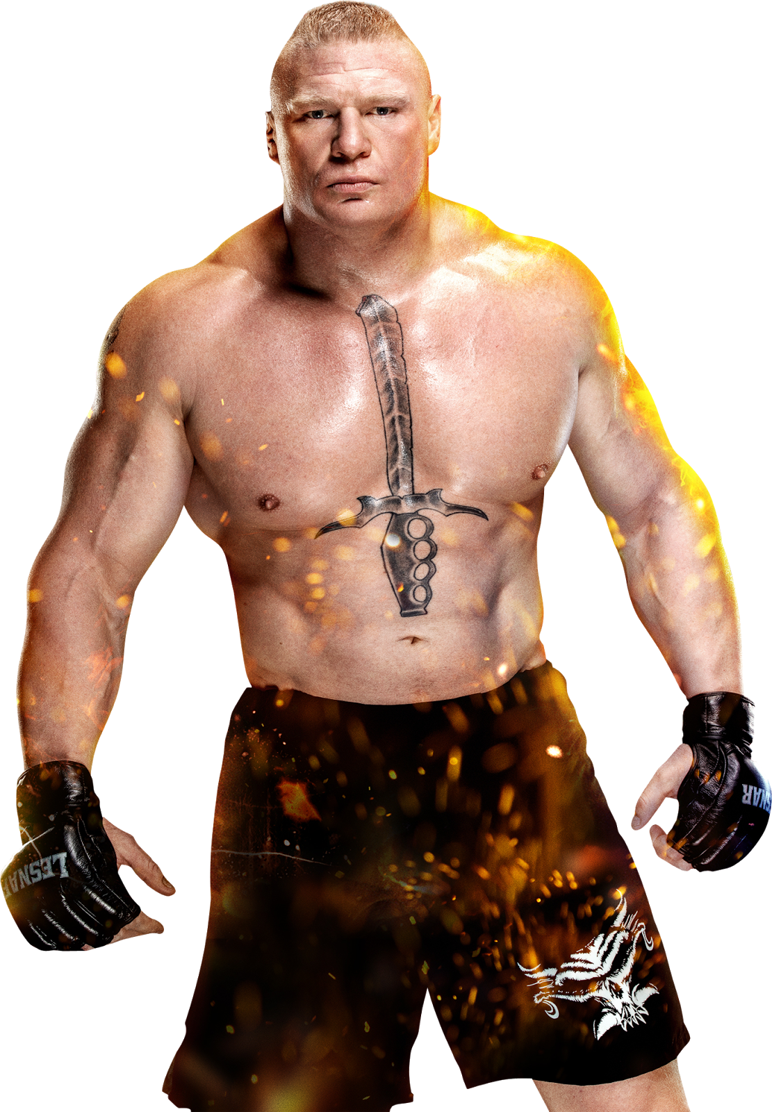 Brock Lesnar Fighter Stance PNG