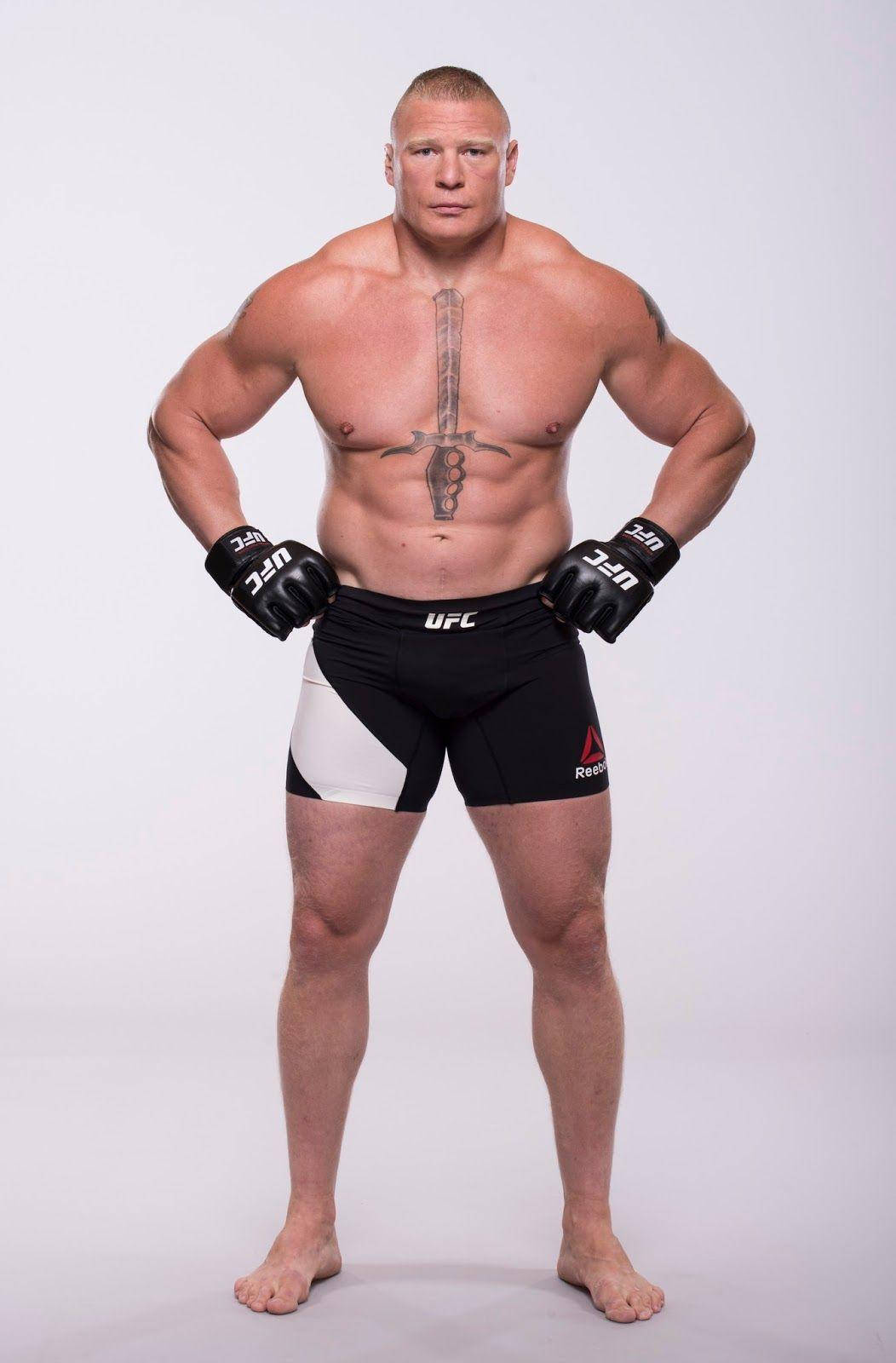 Brock Lesnar UFC File Photo Wallpaper
