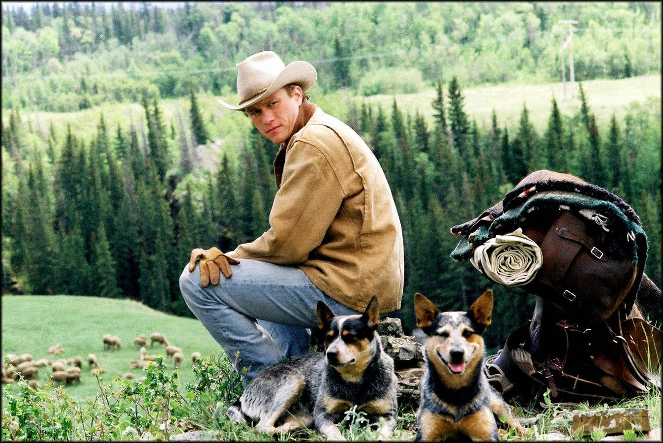 Brokebackmountain Ennis Del Mar Cattle Dogs Can Be Translated To Italian As 