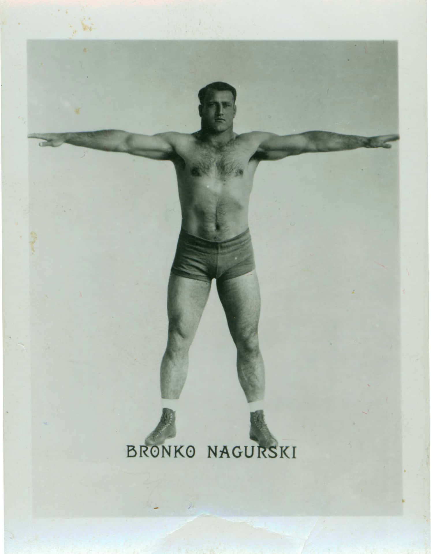 Bronkonagurski Luchador Profesional Estadounidense. Fondo de pantalla