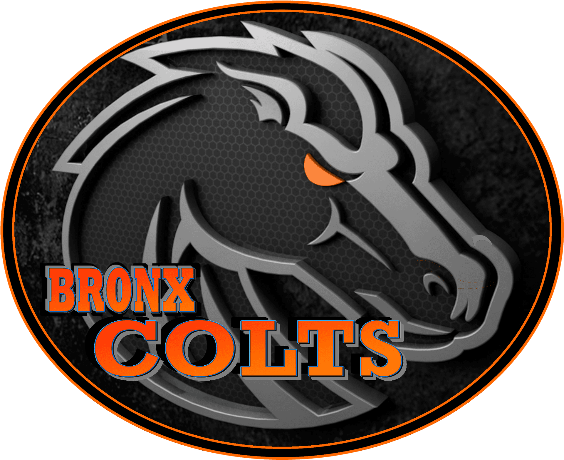 Bronx Colts Team Logo PNG