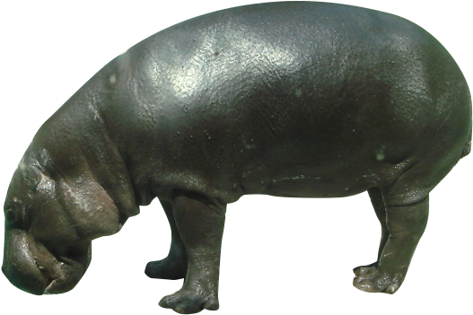 Bronze Hippopotamus Sculpture PNG
