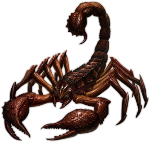 Bronze Scorpion Artwork PNG