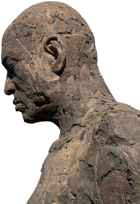 Bronze Sculpture Profile View PNG