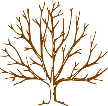 Bronze Tree Silhouette PNG