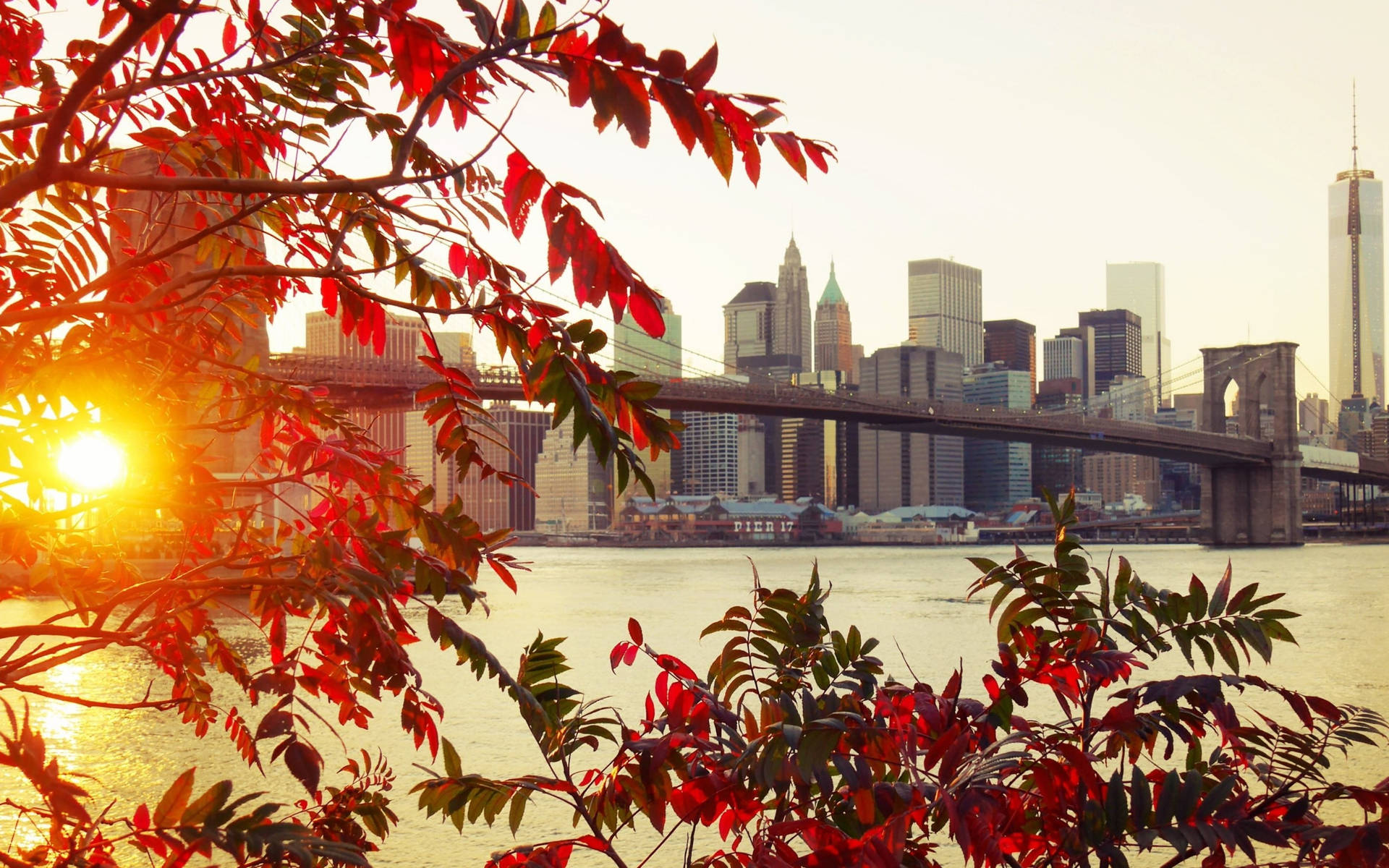 Brooklyn Bridge In Autumn Wallpaper