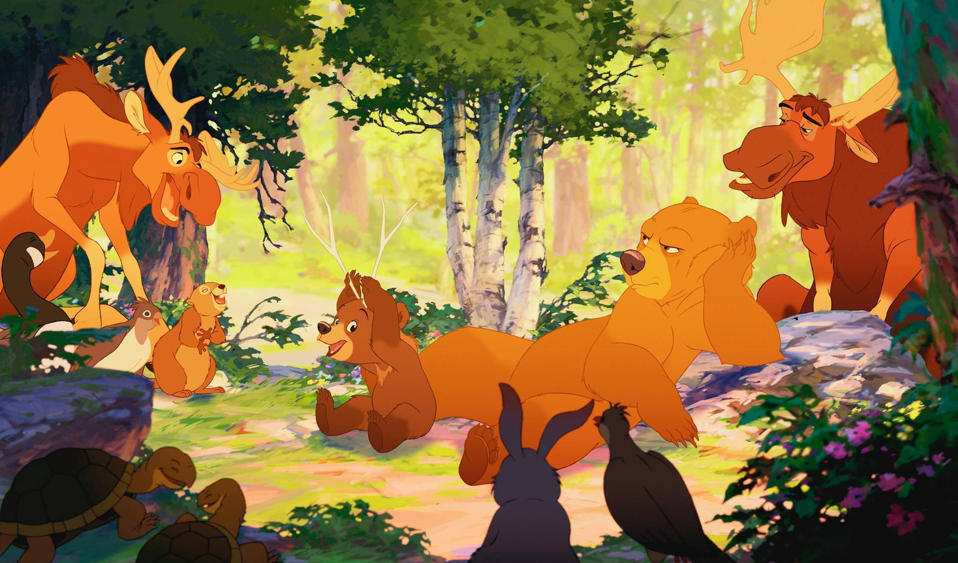 Brother Bear Animals In The Woods Background