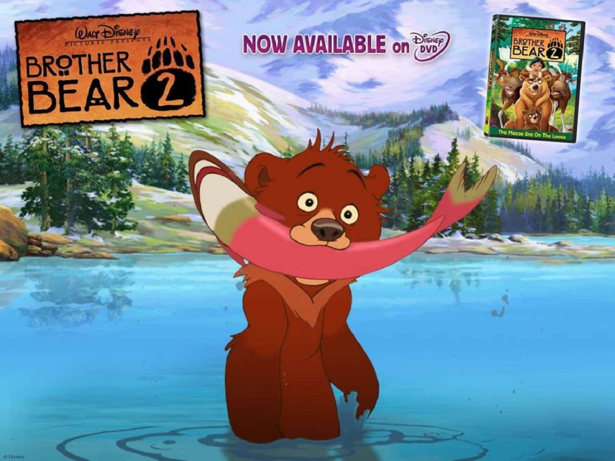 Spend quality time with Brother Bear!