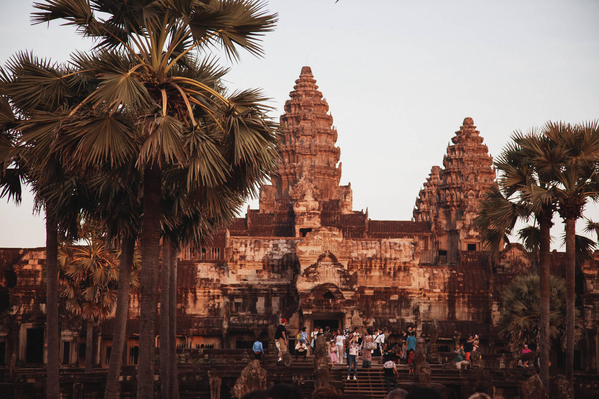 Brauneästhetische Angkor Wat Von Bäumen Umgeben Wallpaper