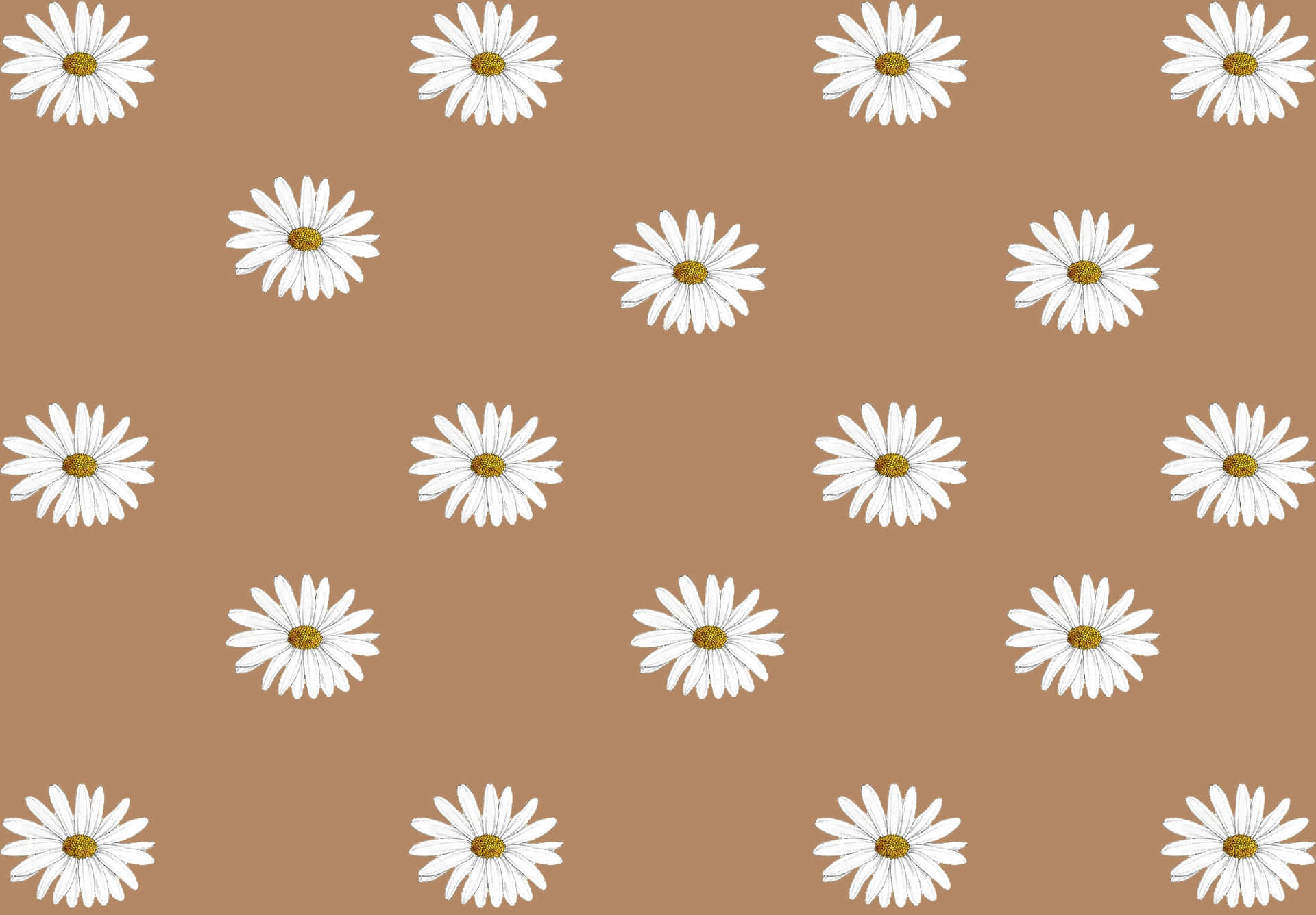 Daisy Pattern On A Brown Background