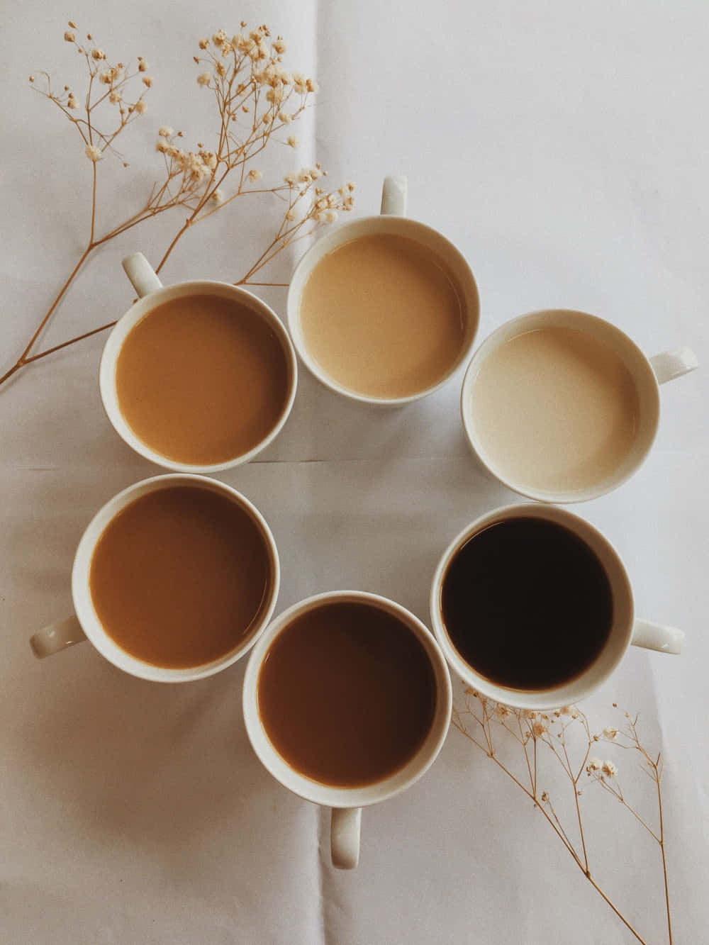 A Group Of Cups With Different Colors Of Coffee