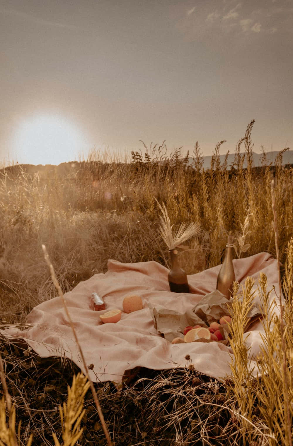 Picnic In The Field With Blanket And Food