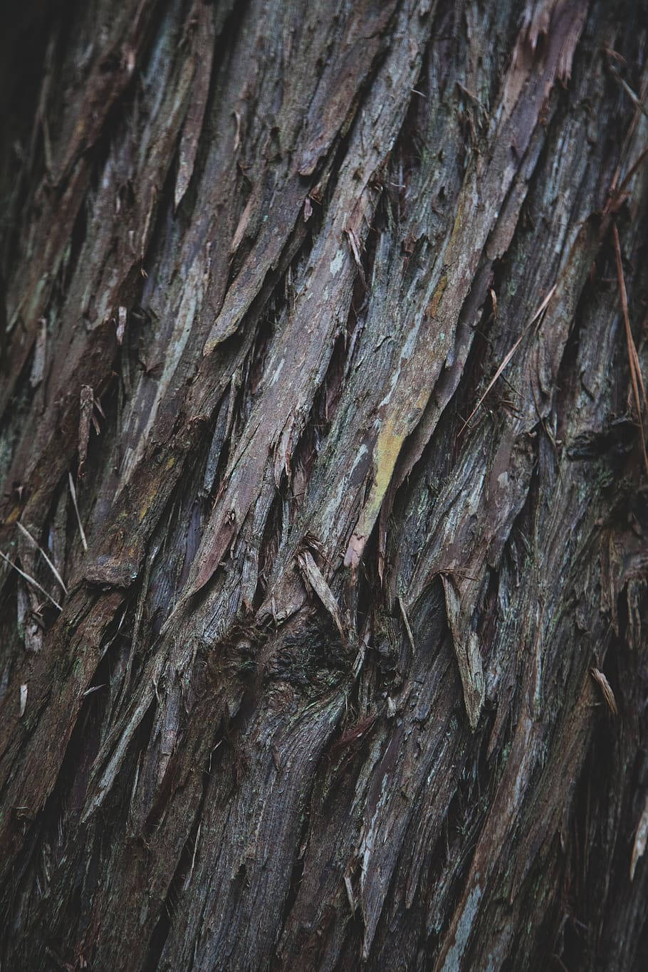 Brown And Black Realtree Camo Wallpaper