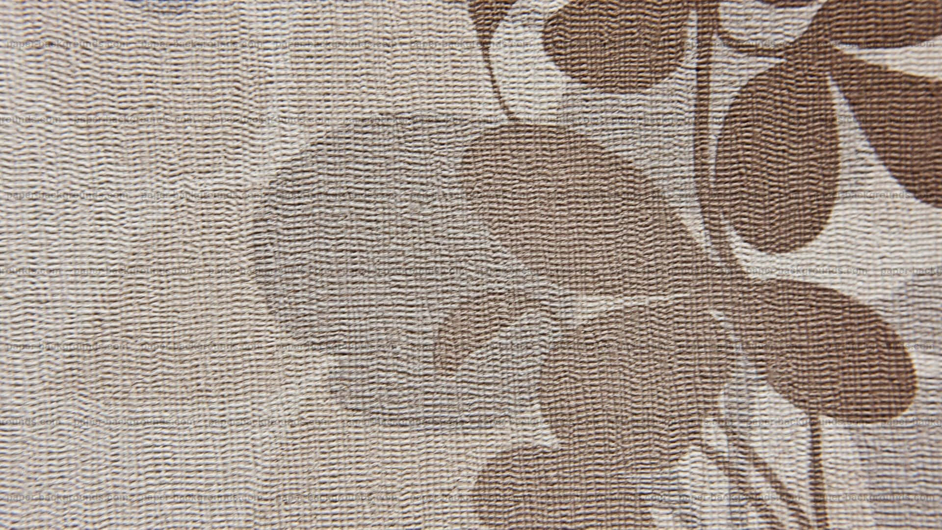 Abstract swirls of brown and white create a tranquil design Wallpaper