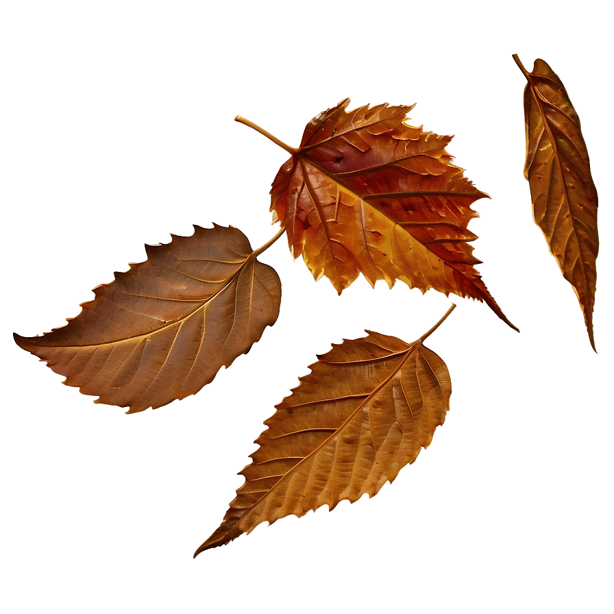 Brown Autumn Leaves Png 20 PNG