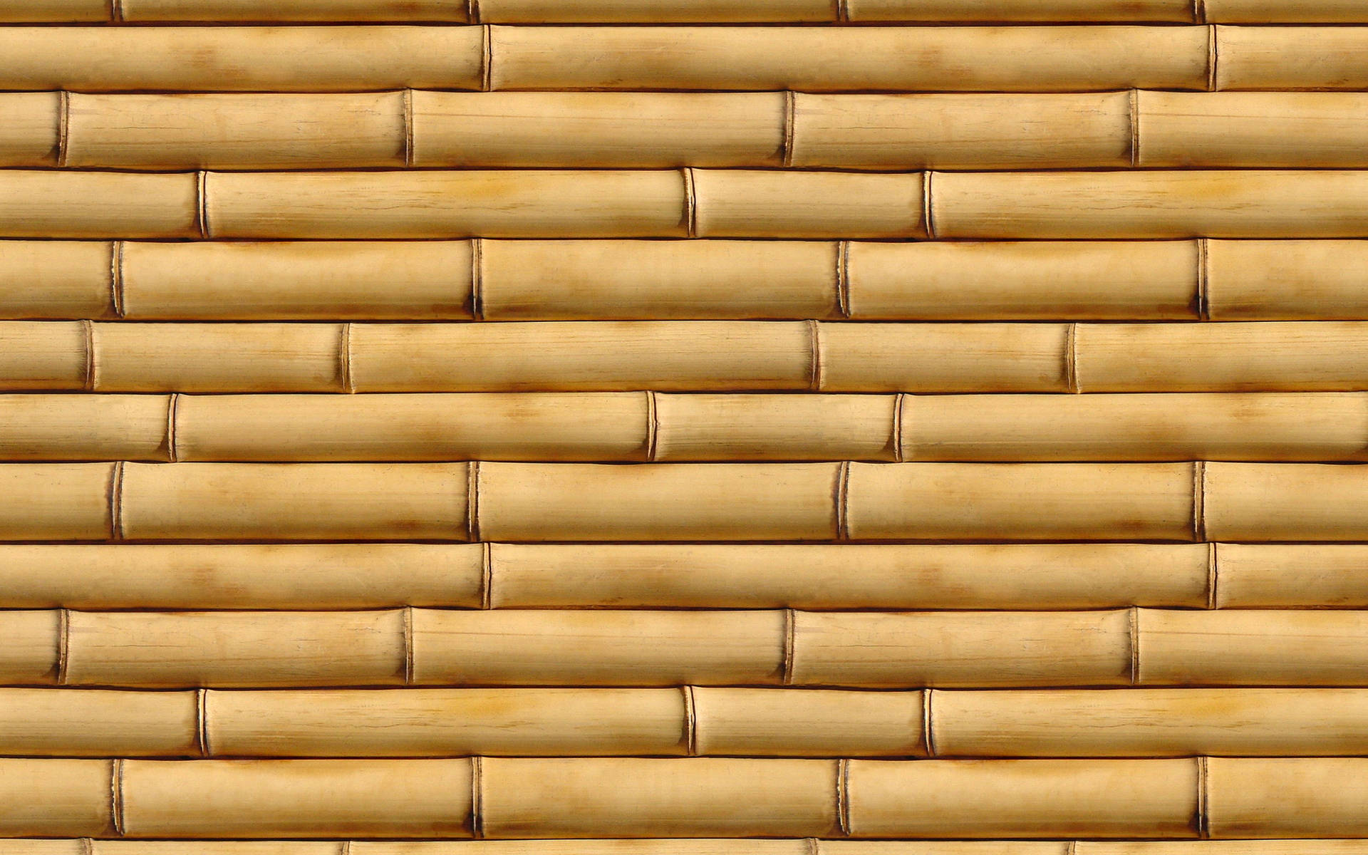 Papelde Parede Em Alta Definição De Bambu Marrom. Papel de Parede