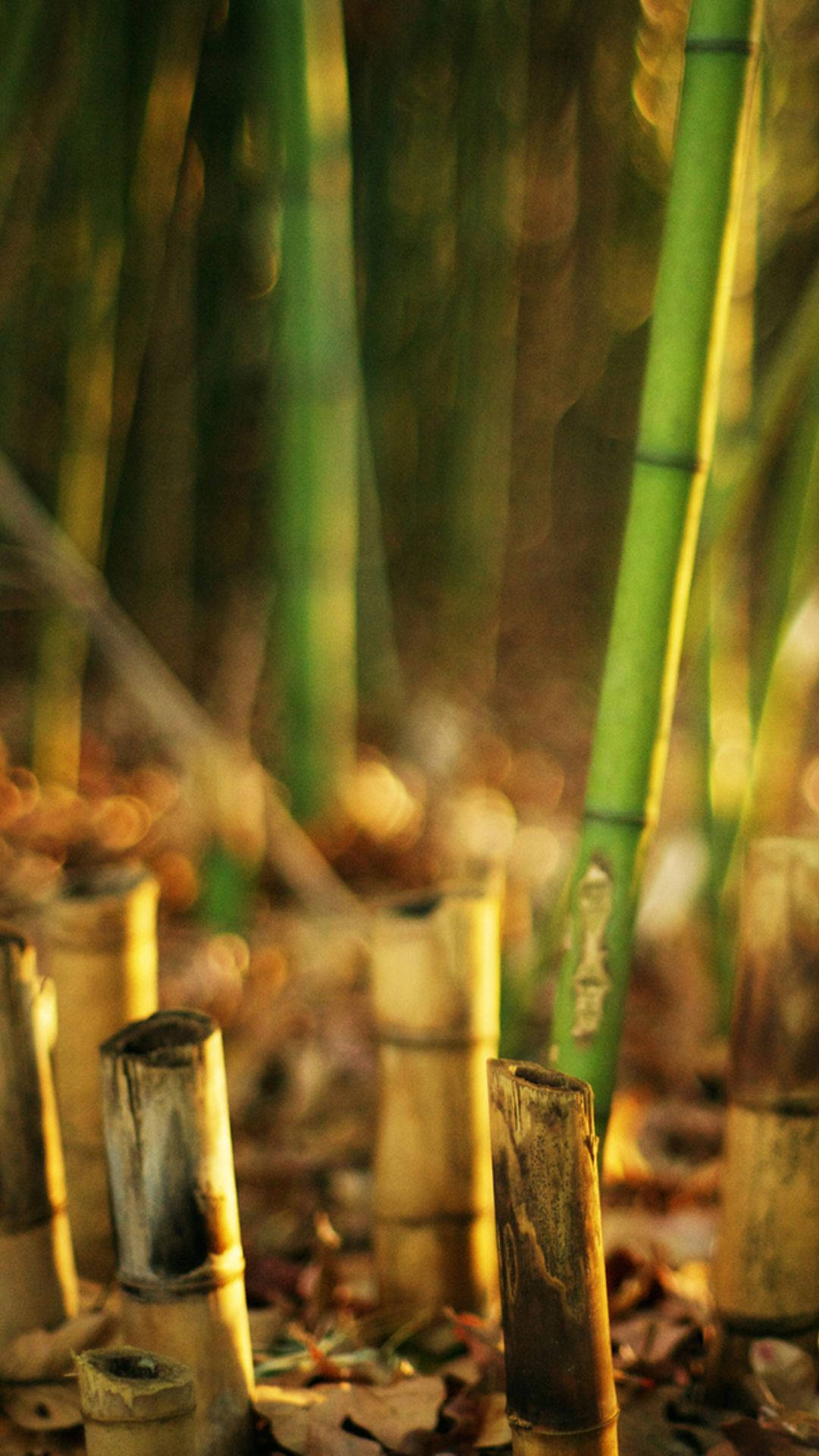Maderade Bambú Marrón Para Iphone. Fondo de pantalla