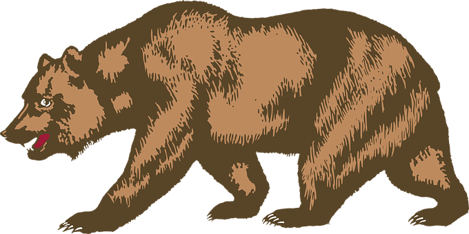 Brown Bear Illustration PNG