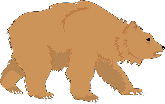 Brown Bear Silhouette PNG