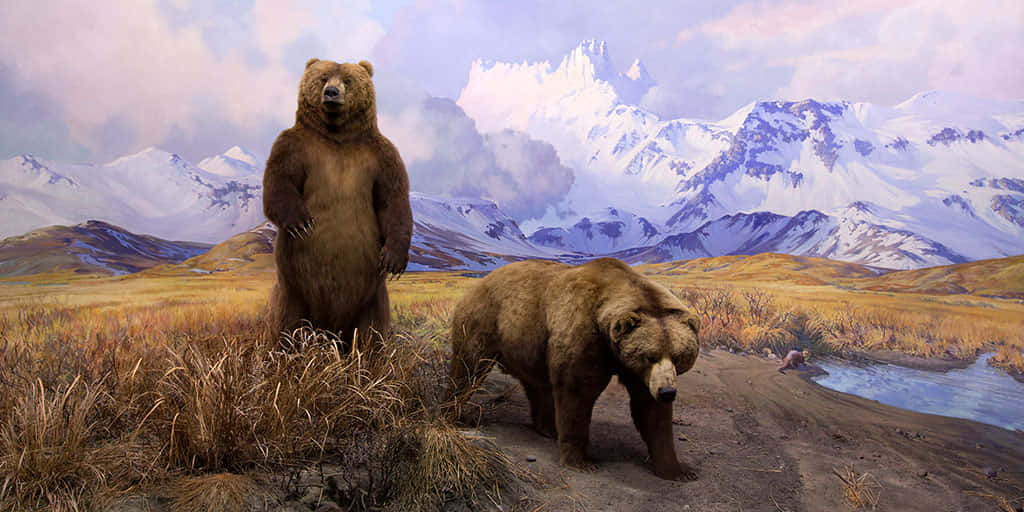 Umafamília De Quatro Ursos Grizzly Desfrutando Da Natureza Selvagem Do Alasca.