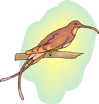 Brown Bird Illustration PNG