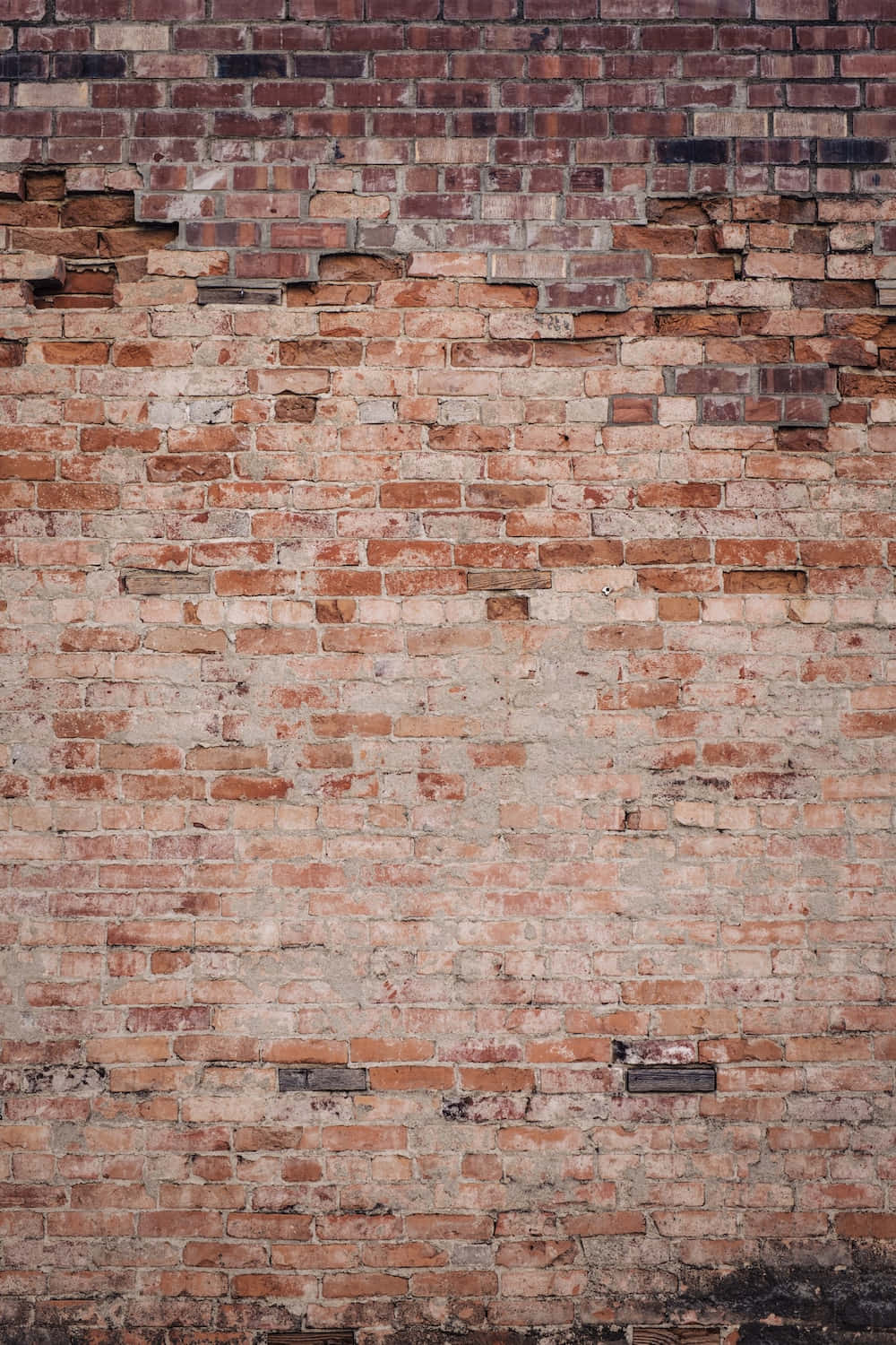 Caption: Brown Brick Wall Texture Wallpaper