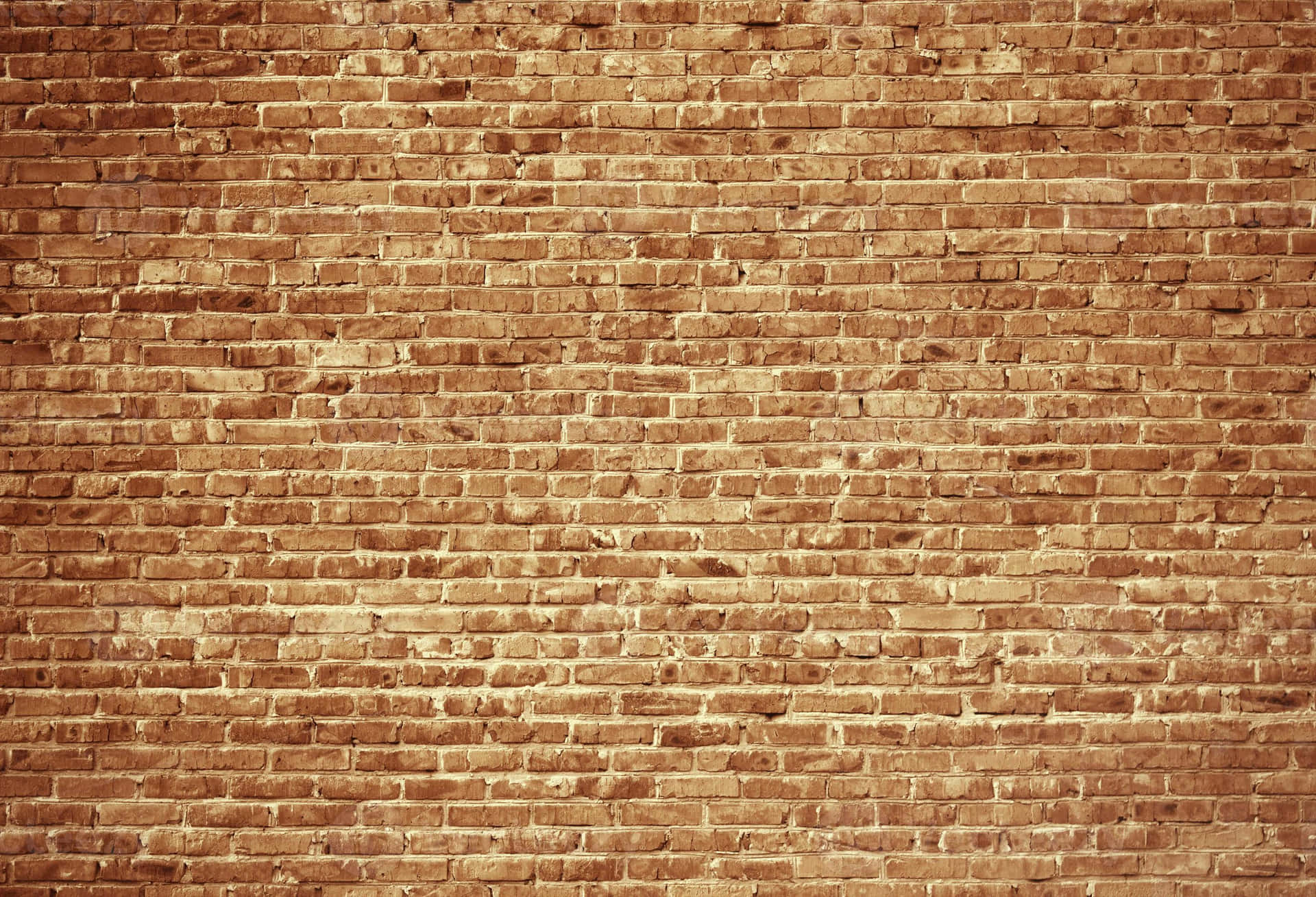 Brown Brisk Wall Wallpaper