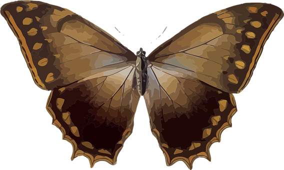 Brown Butterfly Illustration PNG