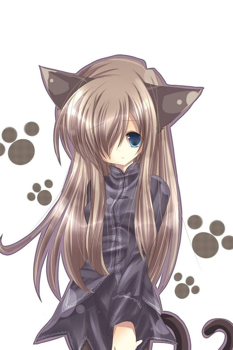 Free Anime Cat Wallpaper Downloads, [100+] Anime Cat Wallpapers for FREE |  