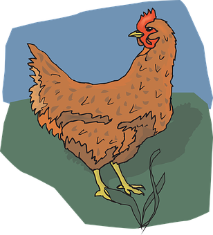 Brown Chicken Illustration PNG