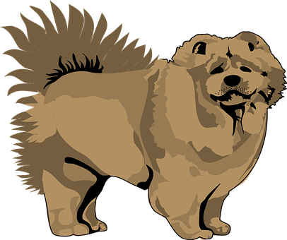 Brown Chow Chow Illustration PNG