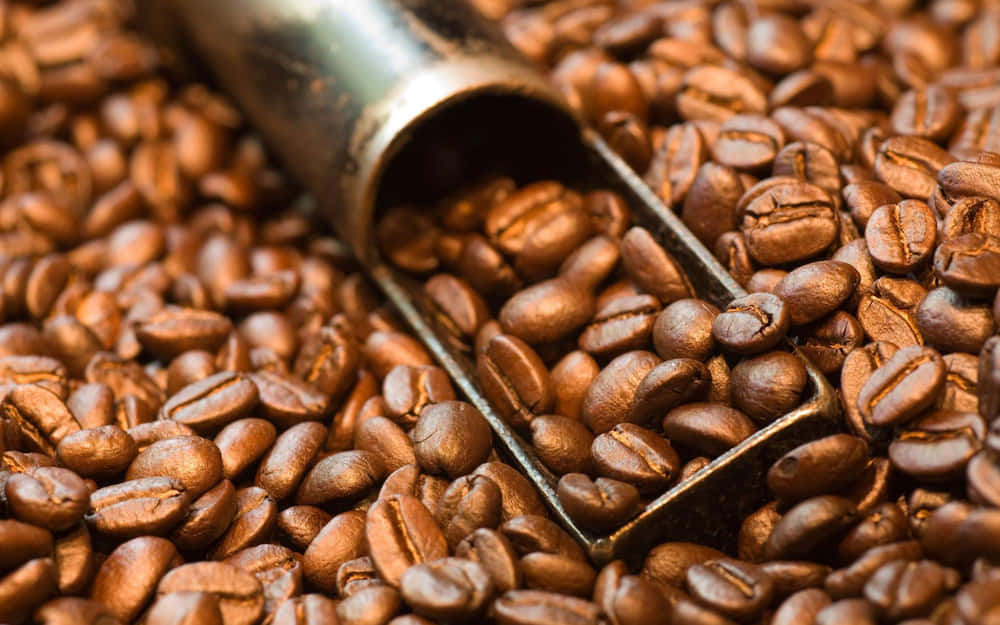 A steaming cup of freshly brewed brown coffee Wallpaper