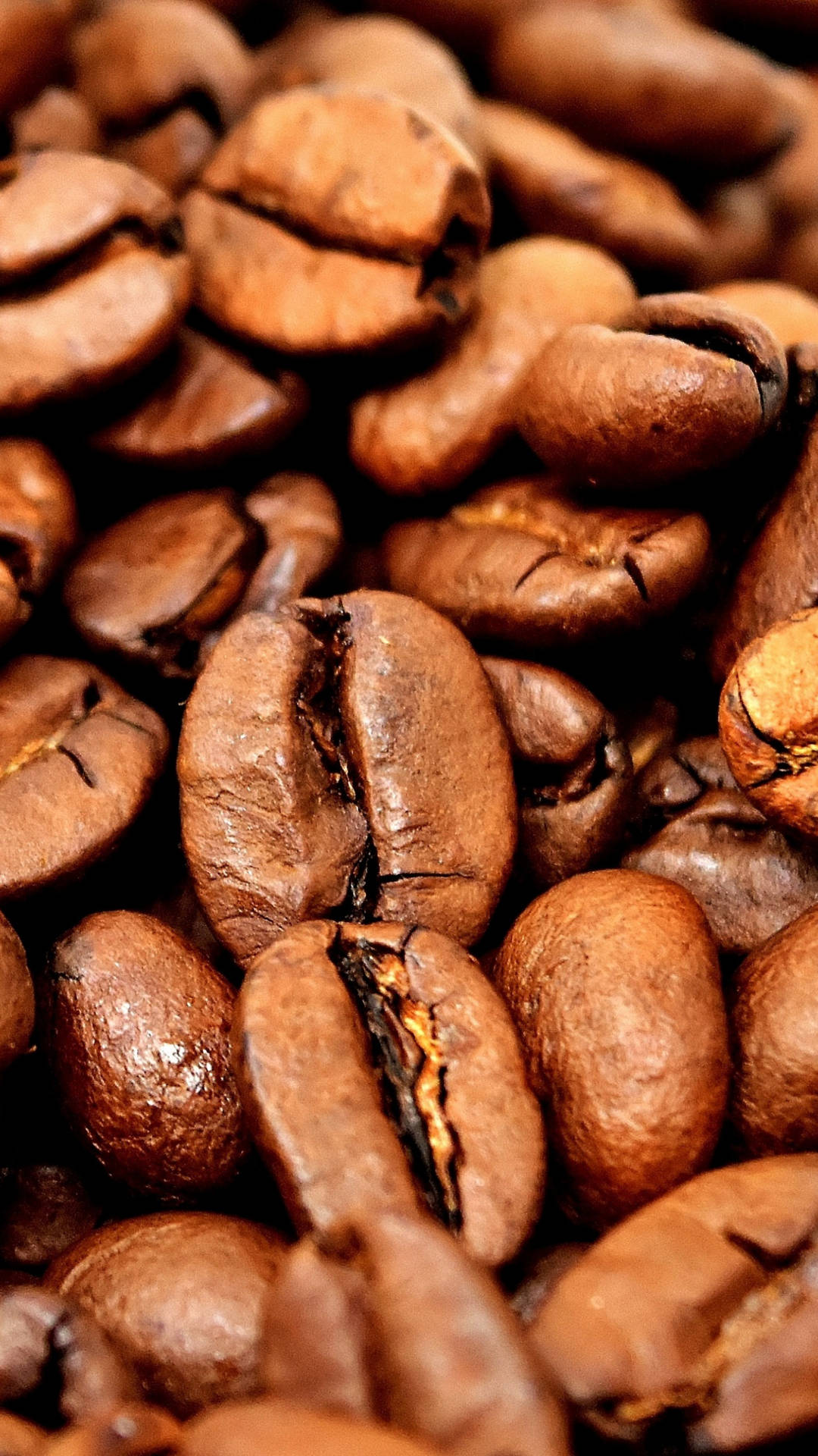 Brown Coffee Beans Aesthetic Background