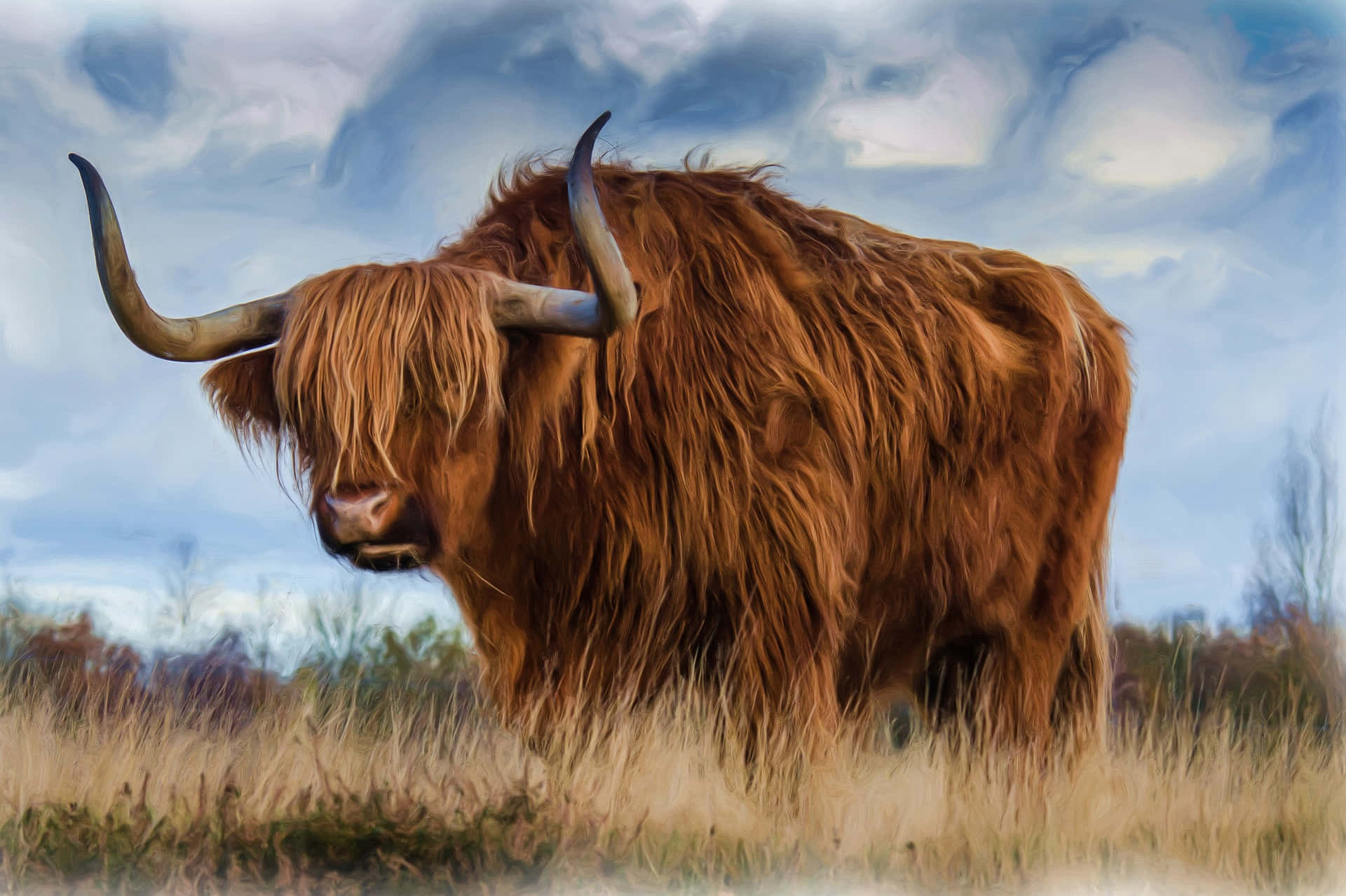A Beautiful Brown Cow Stands in the Field Wallpaper