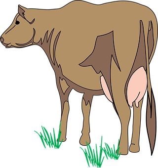Brown Cow Illustration PNG