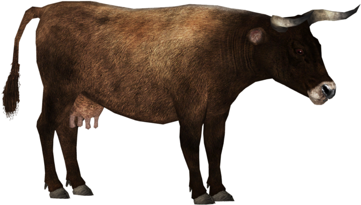 Brown Cow Profile PNG