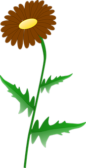 Brown Daisy Illustration PNG