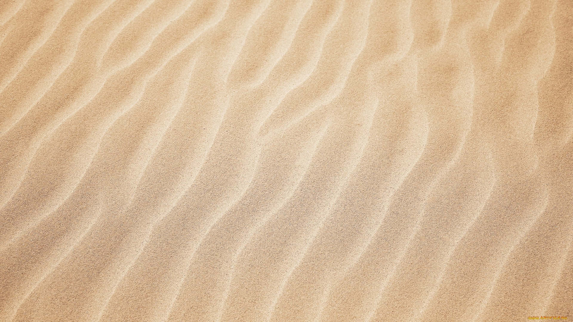 Brown Desert Sand Pattern Wallpaper