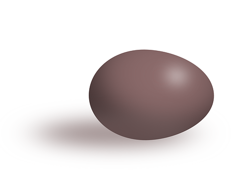 Brown Egg Isolated Background PNG