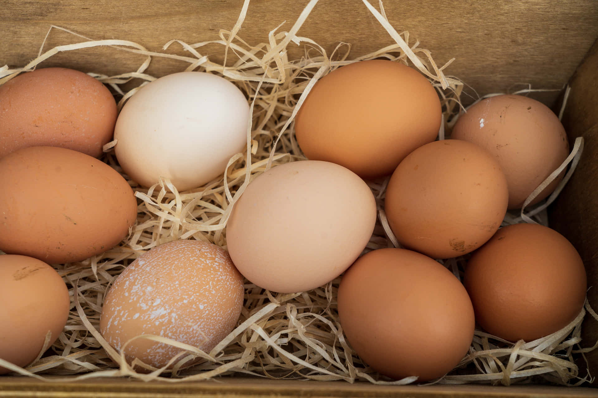 A carton of farm-fresh brown eggs Wallpaper