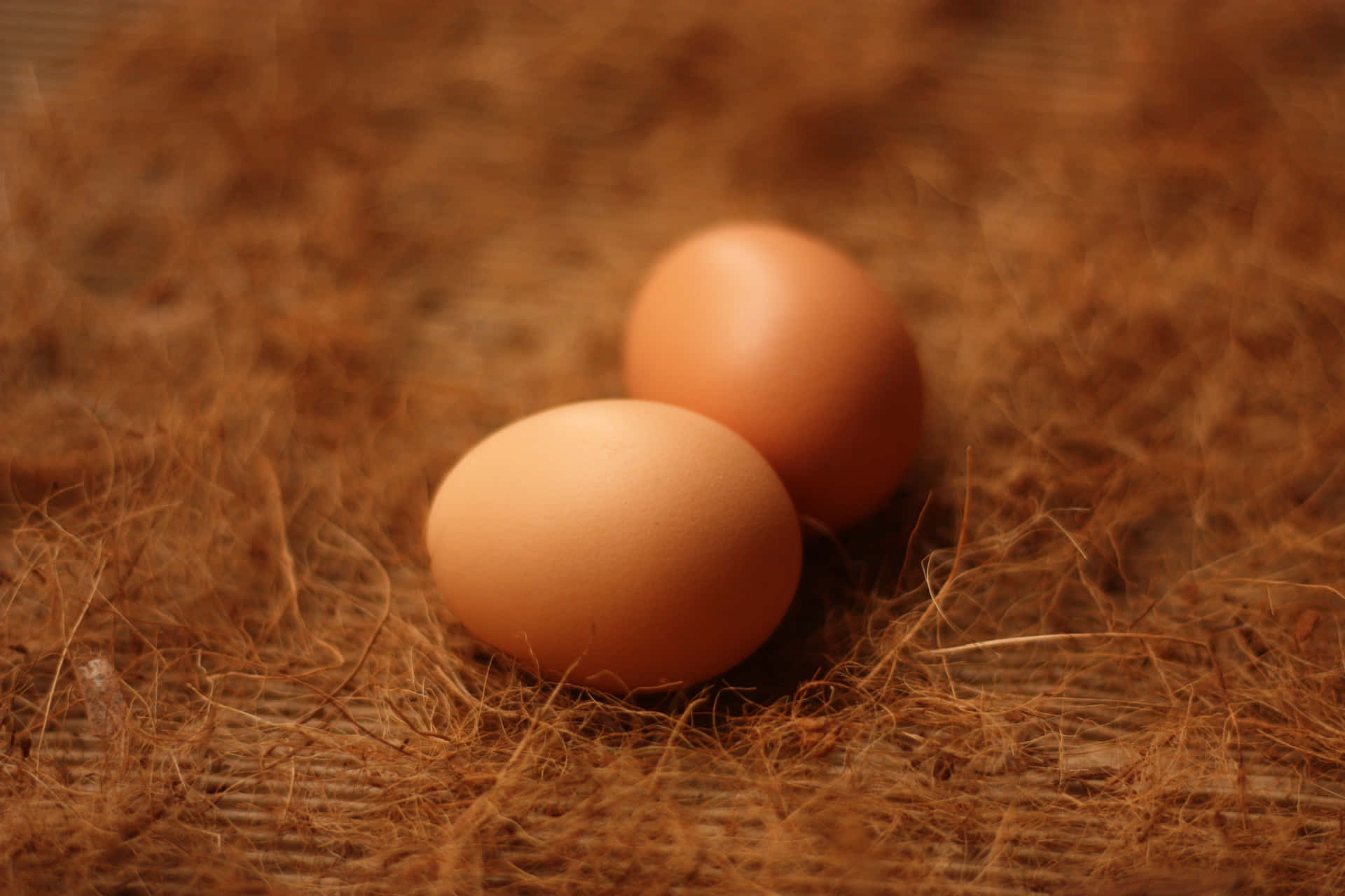 A Pile of Brown Eggs in a Rustic Setting Wallpaper