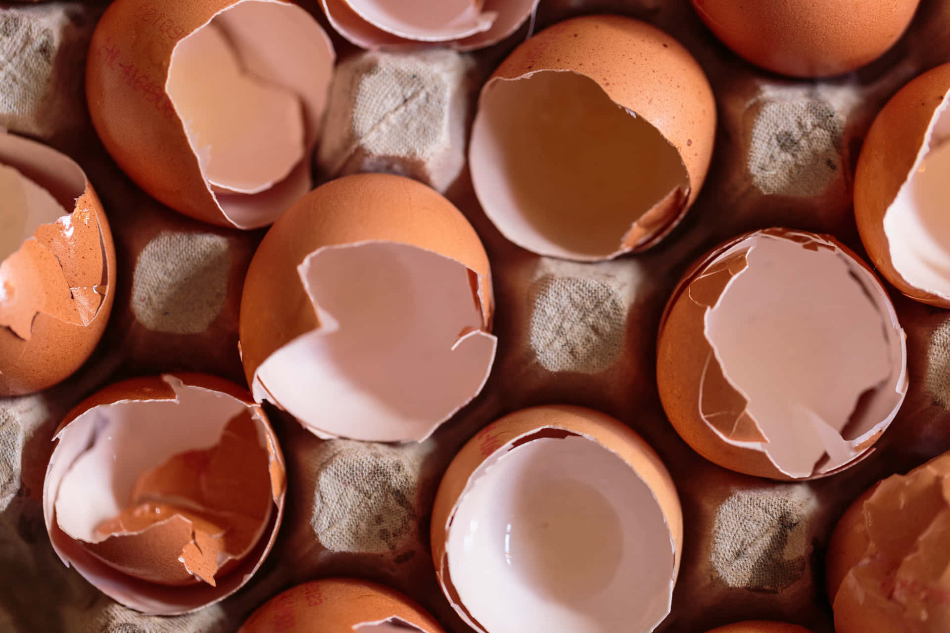 A collection of fresh brown eggs Wallpaper