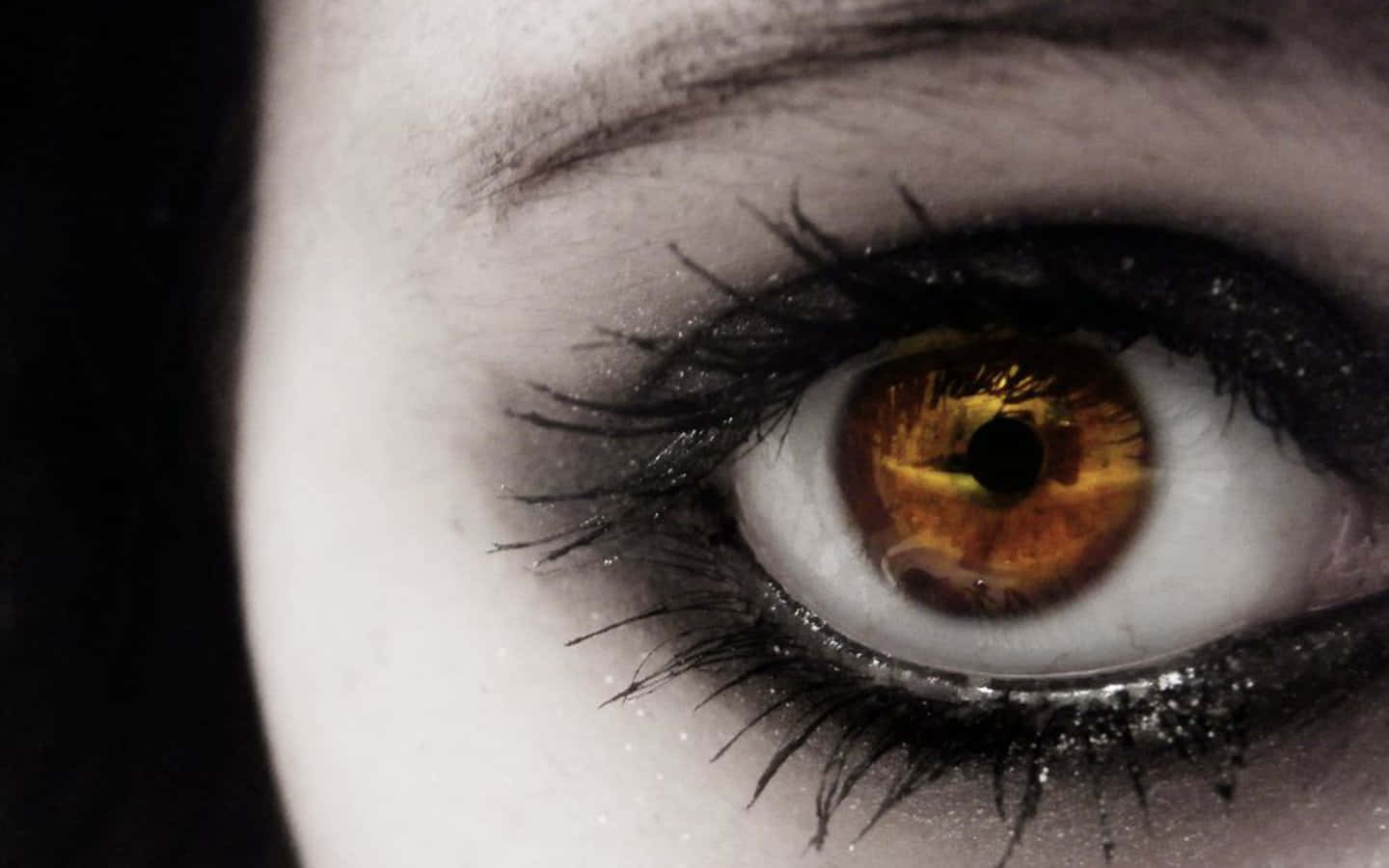 Brown Eye Closeup With Shiny Black Liner Wallpaper