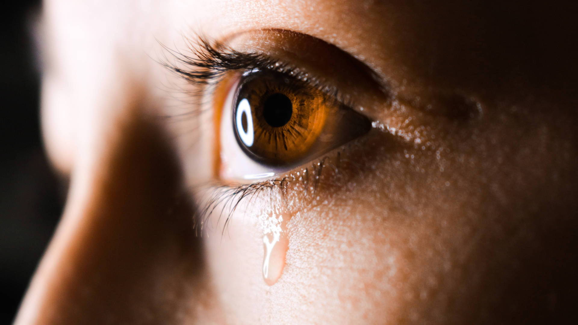 Brown Eye Tear Triste 4k Sfondo