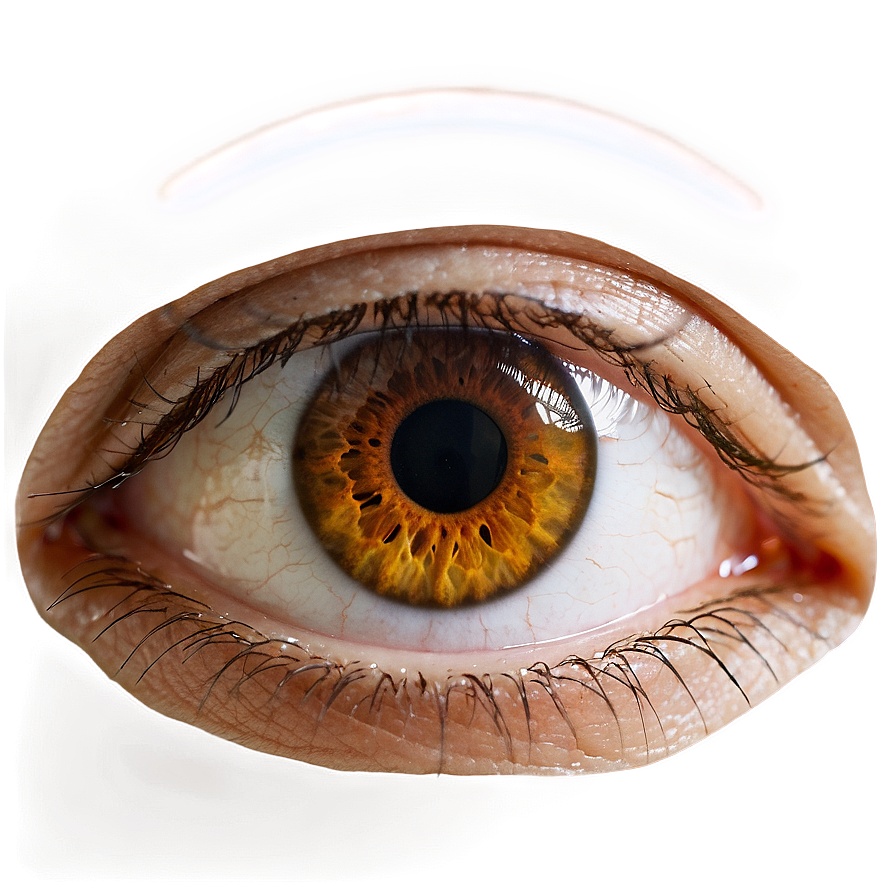 Brown Eye Transparent Png Cku68 PNG